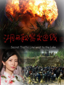 成人午夜在线观看